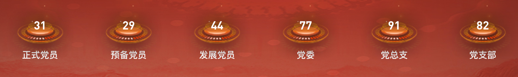 基本情况