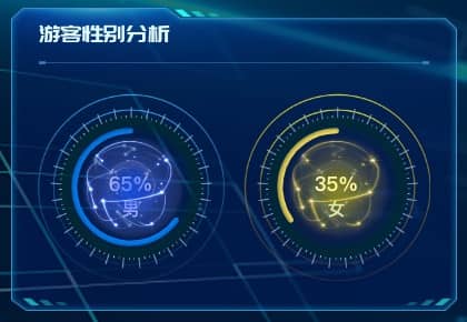 游客性别占比