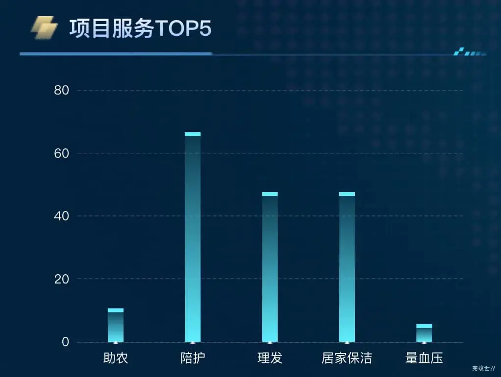 项目服务TOP5