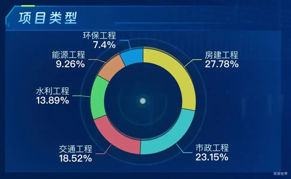 项目类型