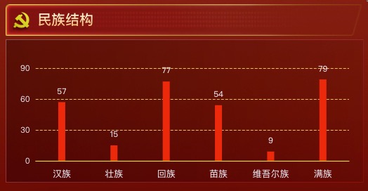 民族结构