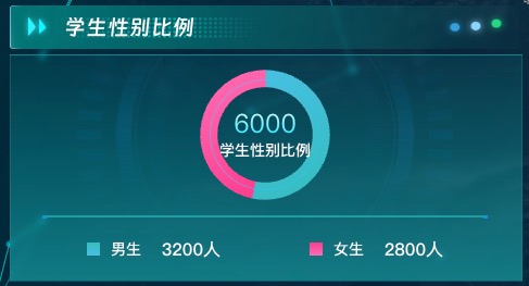学生性别比例
