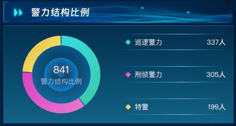 警力结构比例