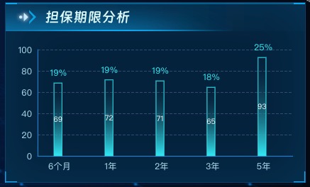 担保期限分析