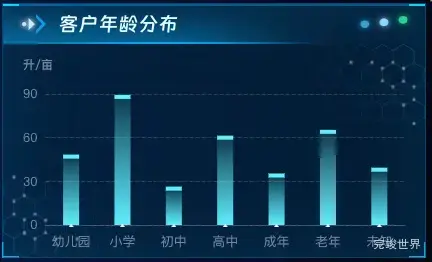 客户年龄分布