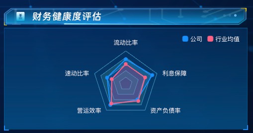 财务健康度评估