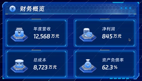 财务概览