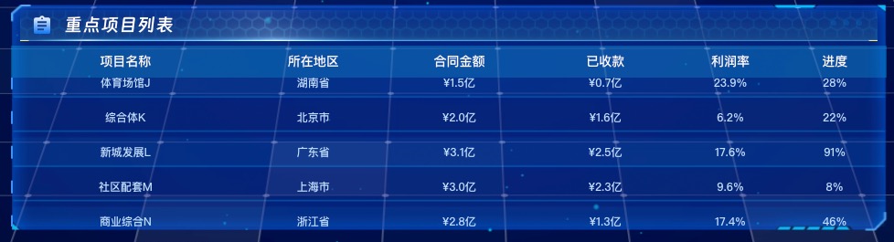 重点项目列表